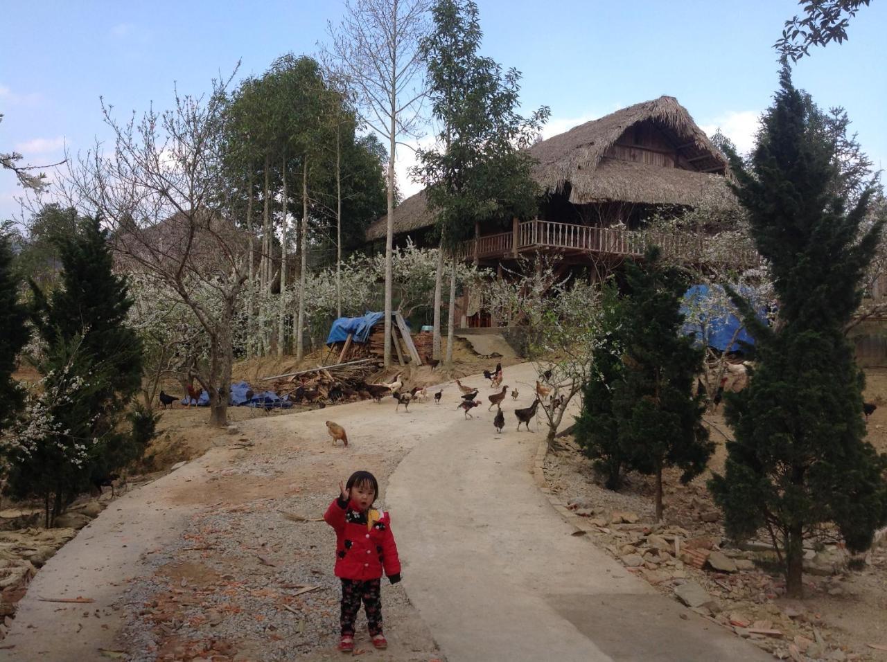 Sa House Bac Ha Apartment Exterior photo